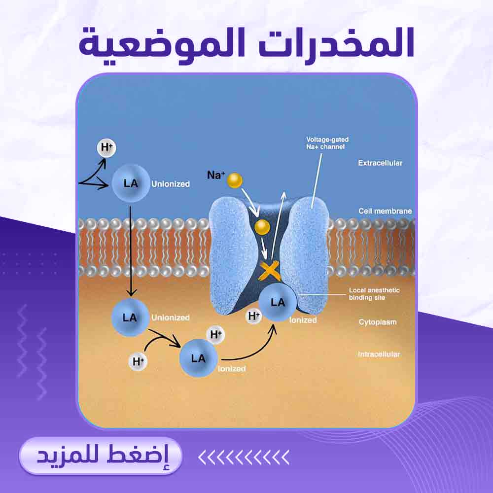 المخدرات الموضعية - صيدلية برلين