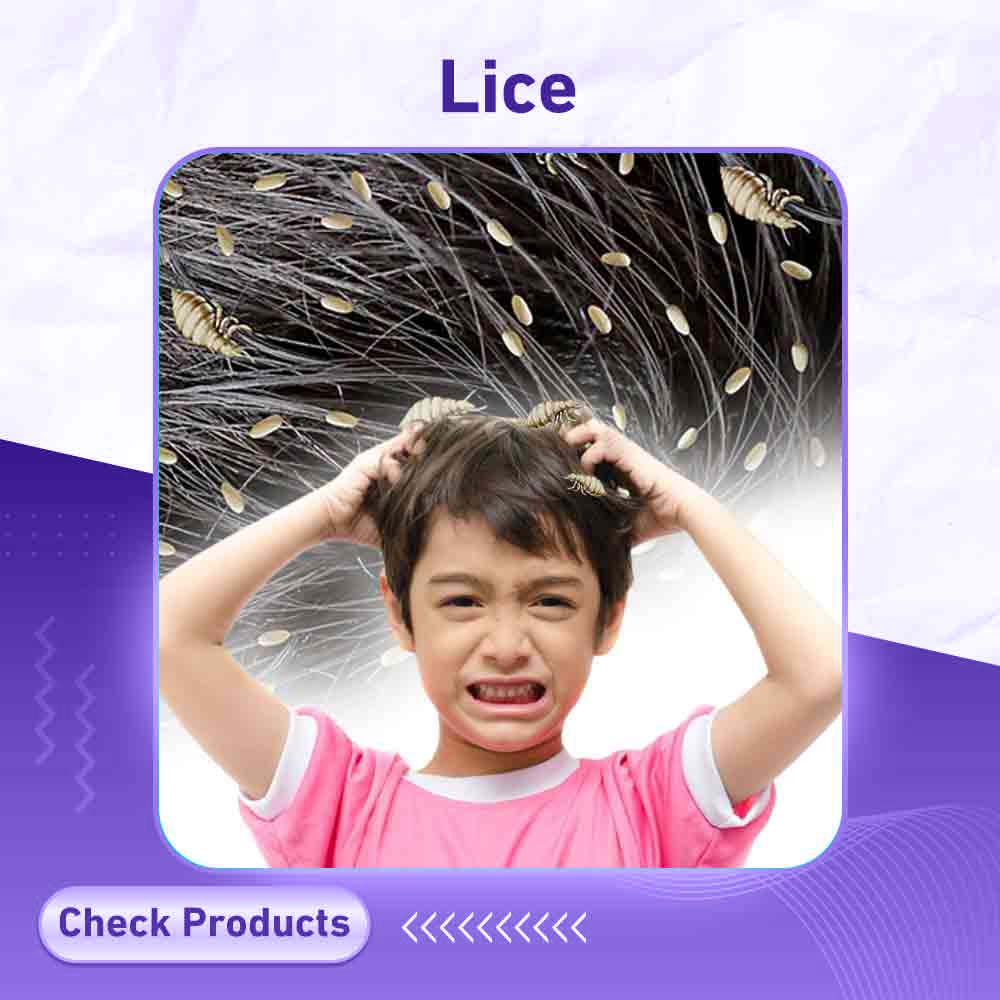 lice - Berlin Pharmacy