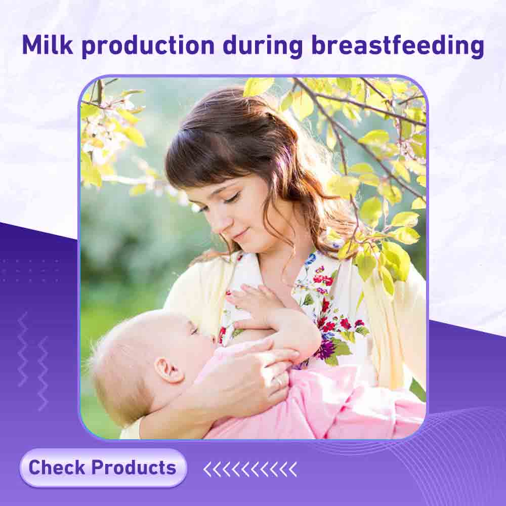 Milk production during breastfeeding - Berlin Pharmacy