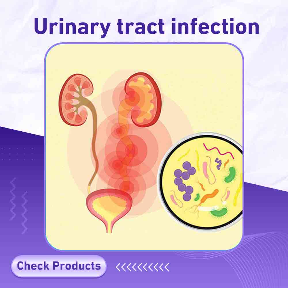 urinary tract - Berlin Pharmacy