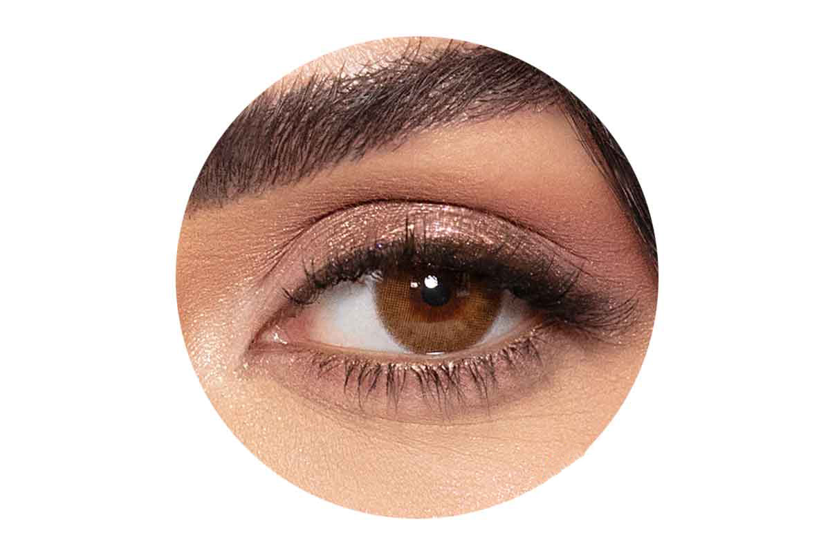 AMARA LENSES MONTHLY BRUNETTE - Berlin Pharmacy